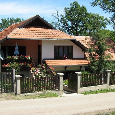 Apartments Zlatiborski Gajevi Εξωτερικό φωτογραφία